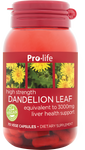 Dandelion Leaf